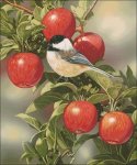 (image for) Orchard Guest